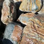 Валун «бонус» мигматит